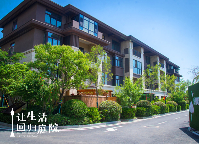 前后张望南阳50年：这样的庭院，，，，，，，很难再有了！