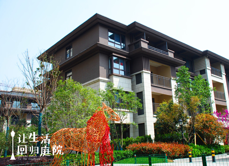 前后张望南阳50年：这样的庭院，，，，，，，很难再有了！