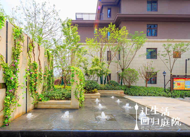 前后张望南阳50年：这样的庭院，，，，，，，很难再有了！