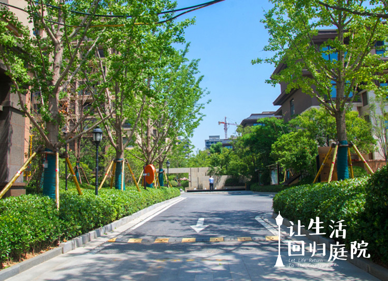 前后张望南阳50年：这样的庭院，，，，，，，很难再有了！