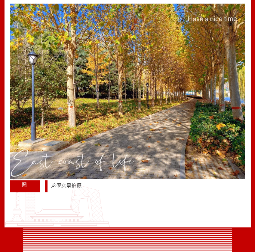 年终薅好房，，，，，，，，这个明星红盘把“出圈”举行究竟！